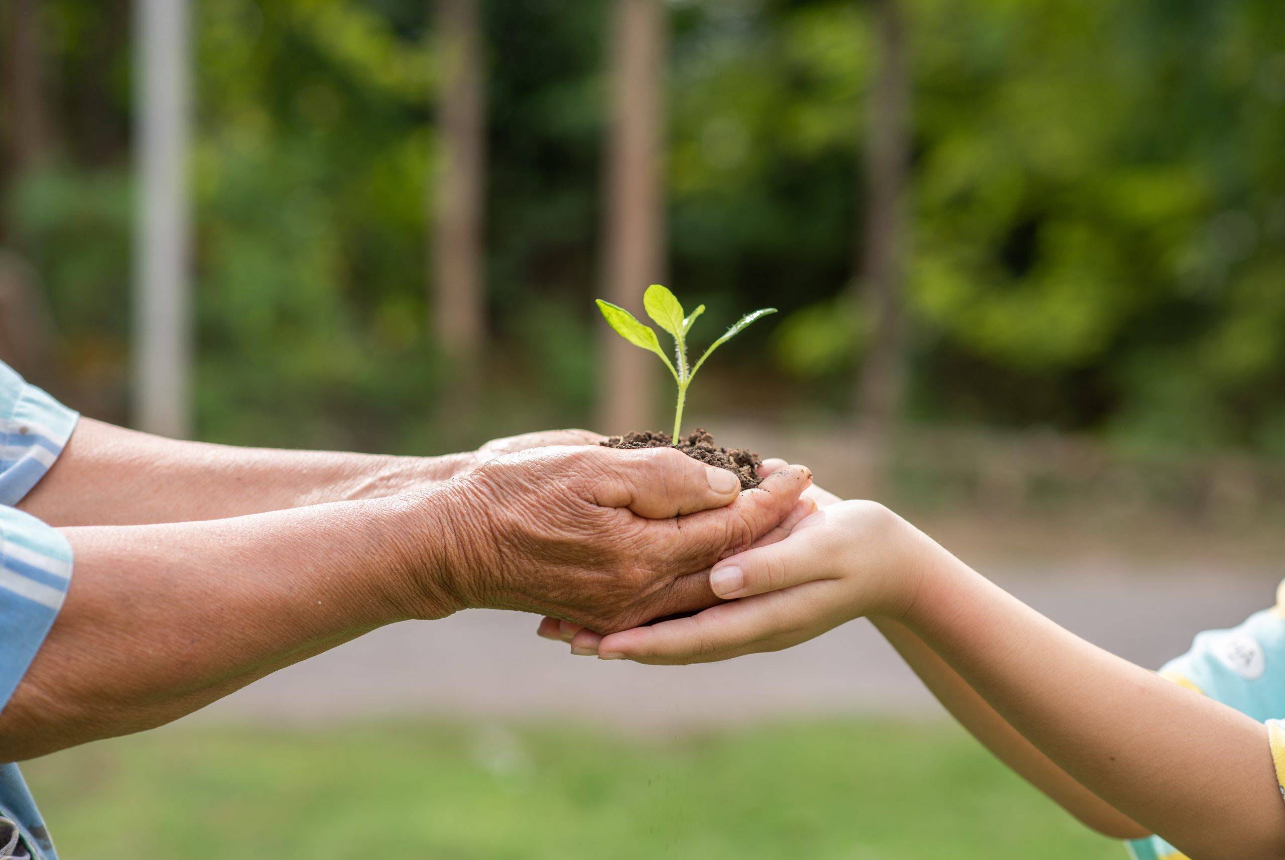 Sustainable Investing: Building a Green Retirement Portfolio