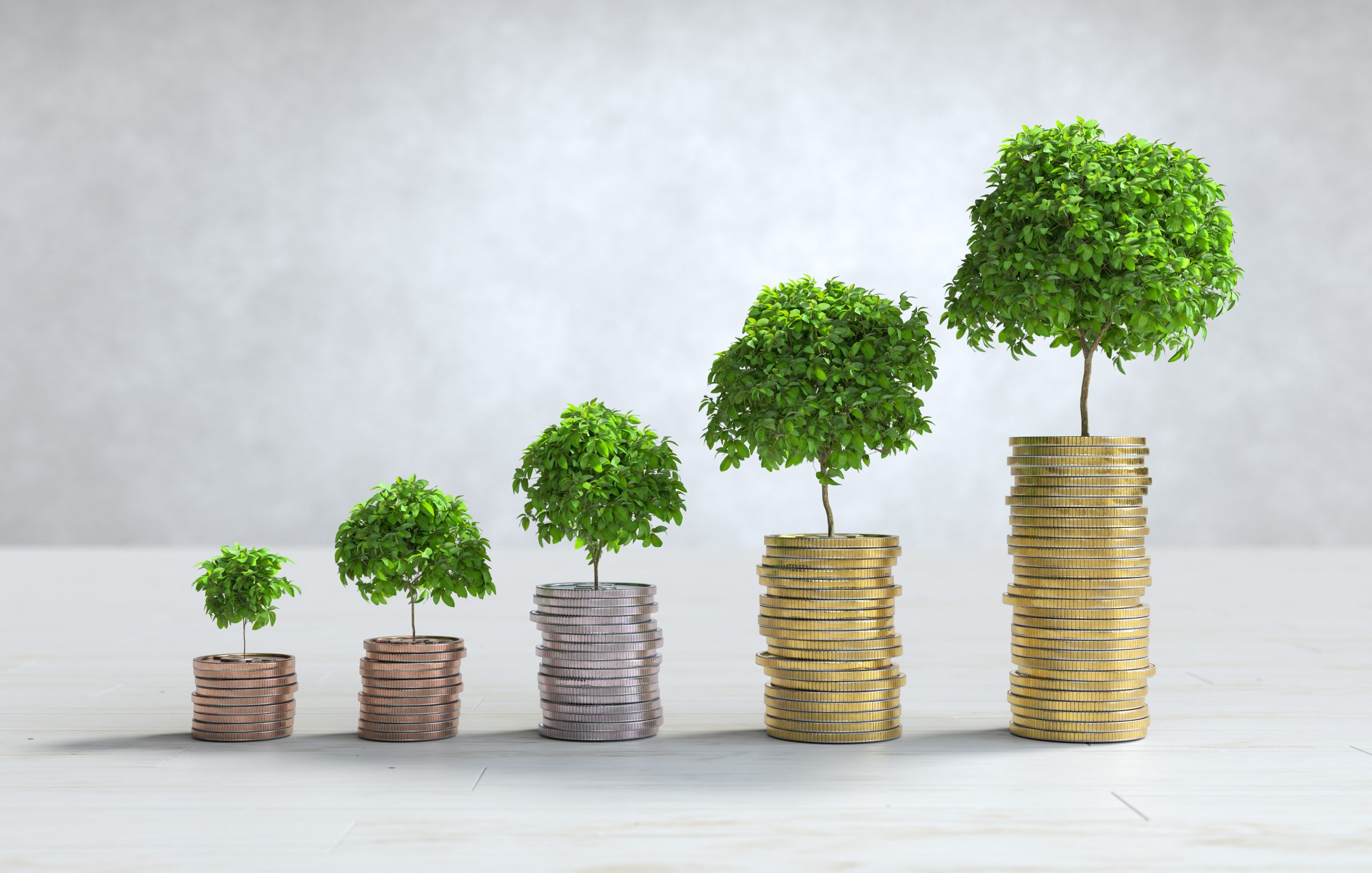 Exploring Long-Term vs. Short-Term Wealth Management